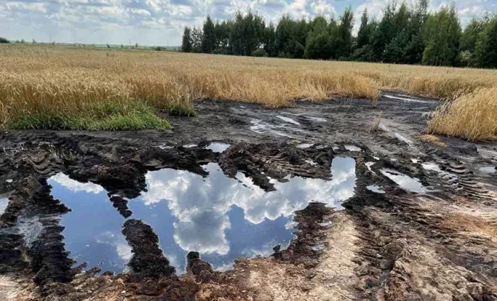 В Калинковичском районе неправильное хранение удобрений в одном из хозяйств привело к загрязнению почвы