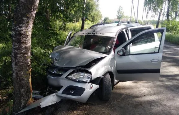 В Жлобинском районе женщина-водитель не справилась с управлением и врезалась в дерево