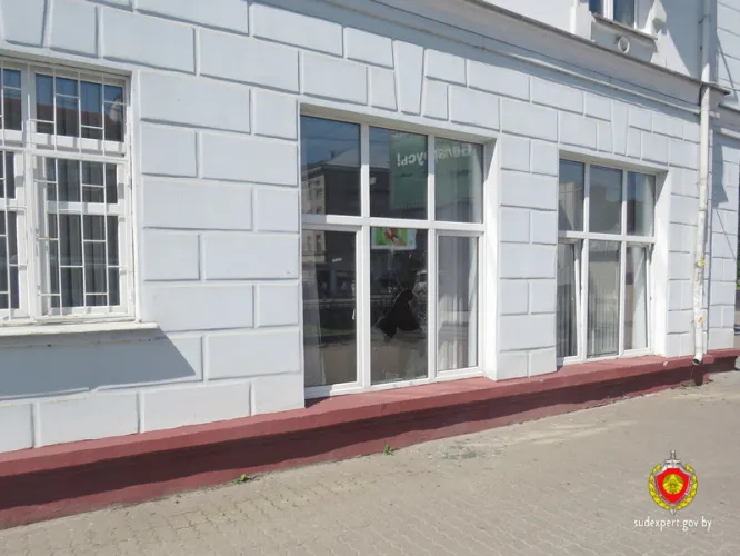В Гомеле вычислили хулигана по отпечаткам пальцев