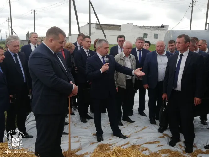 Восстановление поголовья, получение дополнительной продукции, повышение зарплат: в Ветковском районе прошел областной семинар по животноводству
