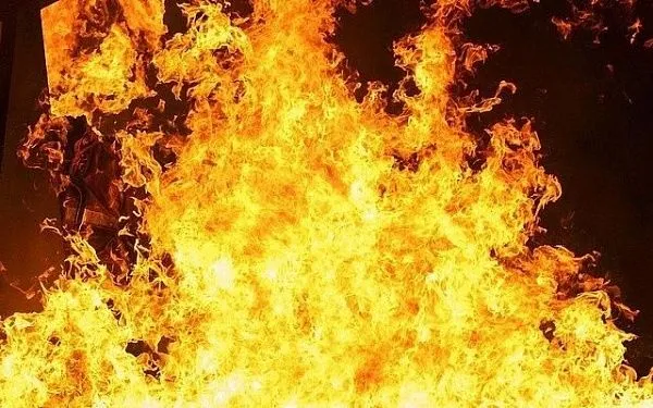 В Житковичском районе во время пожара погибла женщина