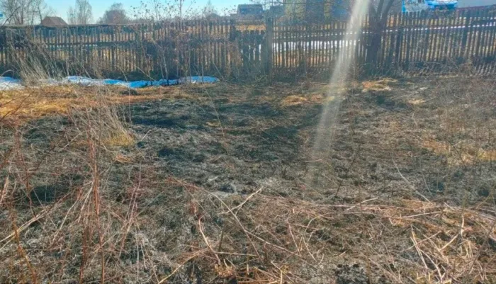 На пожаре в Буда-Кошелевском районе травмирован мужчина