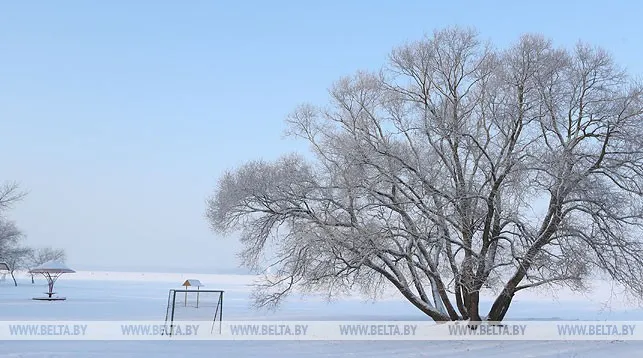 Снег, порывистый ветер и до -5°С ожидаются в Беларуси 12 января