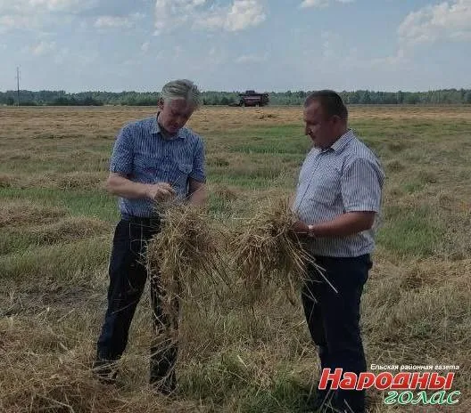Председатель Ельского райисполкома Виктор Замостик поделился впечатлениями после совещания по вопросам уборочной кампании