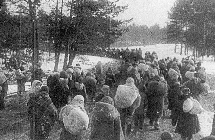 Концлагерь на болоте: за 10 дней тысячи смертей