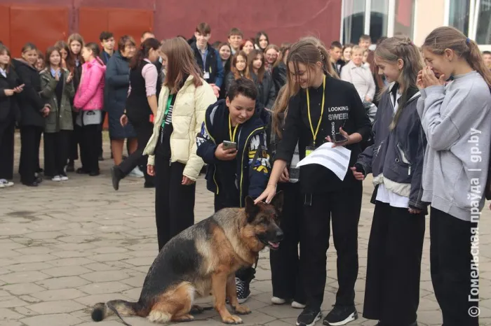 В Урицкой средней школе провели профилактический форум «Наркотики. Ответственность. Последствия. Жизнь прекрасна – НА СВОБОДЕ»