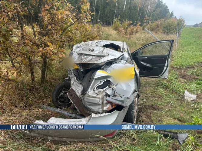 В Жлобинском районе в аварии погиб мужчина