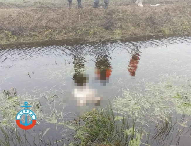 В Калинковичском районе в мелиоративном канале погибла женщина-инвалид