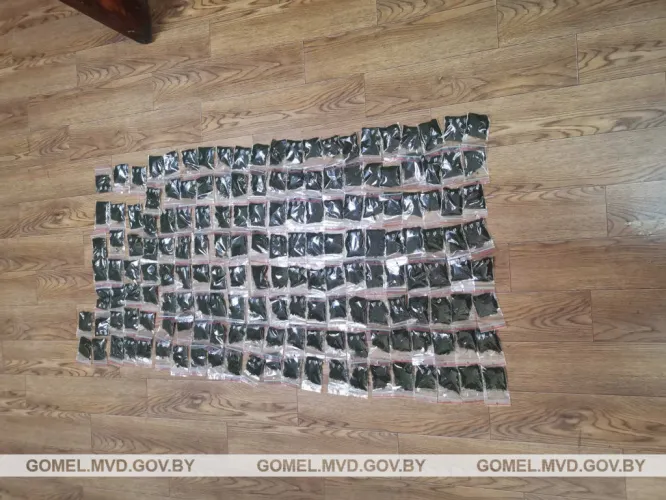В Жлобине изъяли более четырех килограммов насвая