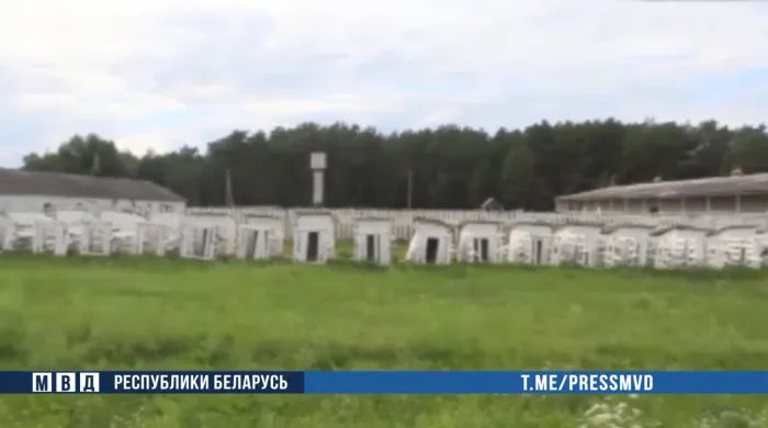 В Калинковичском районе раскрыто хищение почти 500 коров 