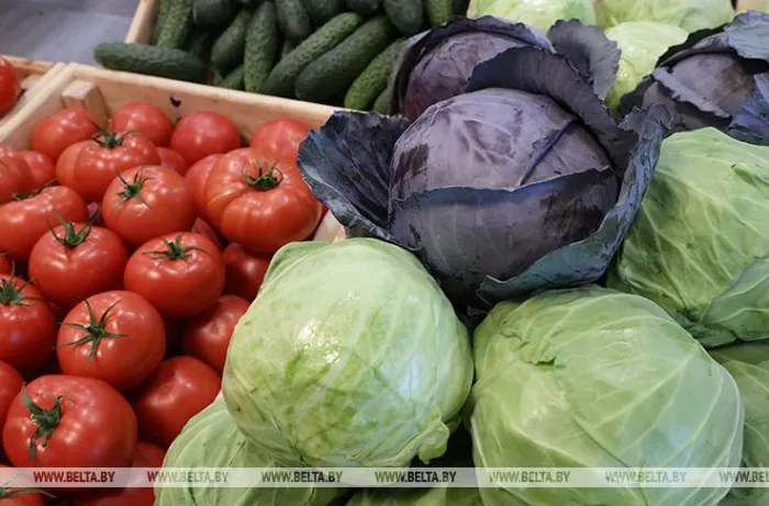 В июне подорожали лук и картофель, стали дешевле капуста и огурцы