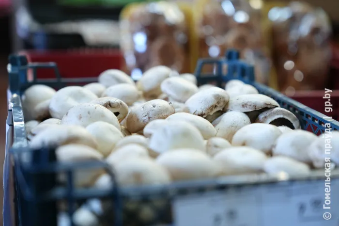 В Гомельской области в апреле подешевели продукты