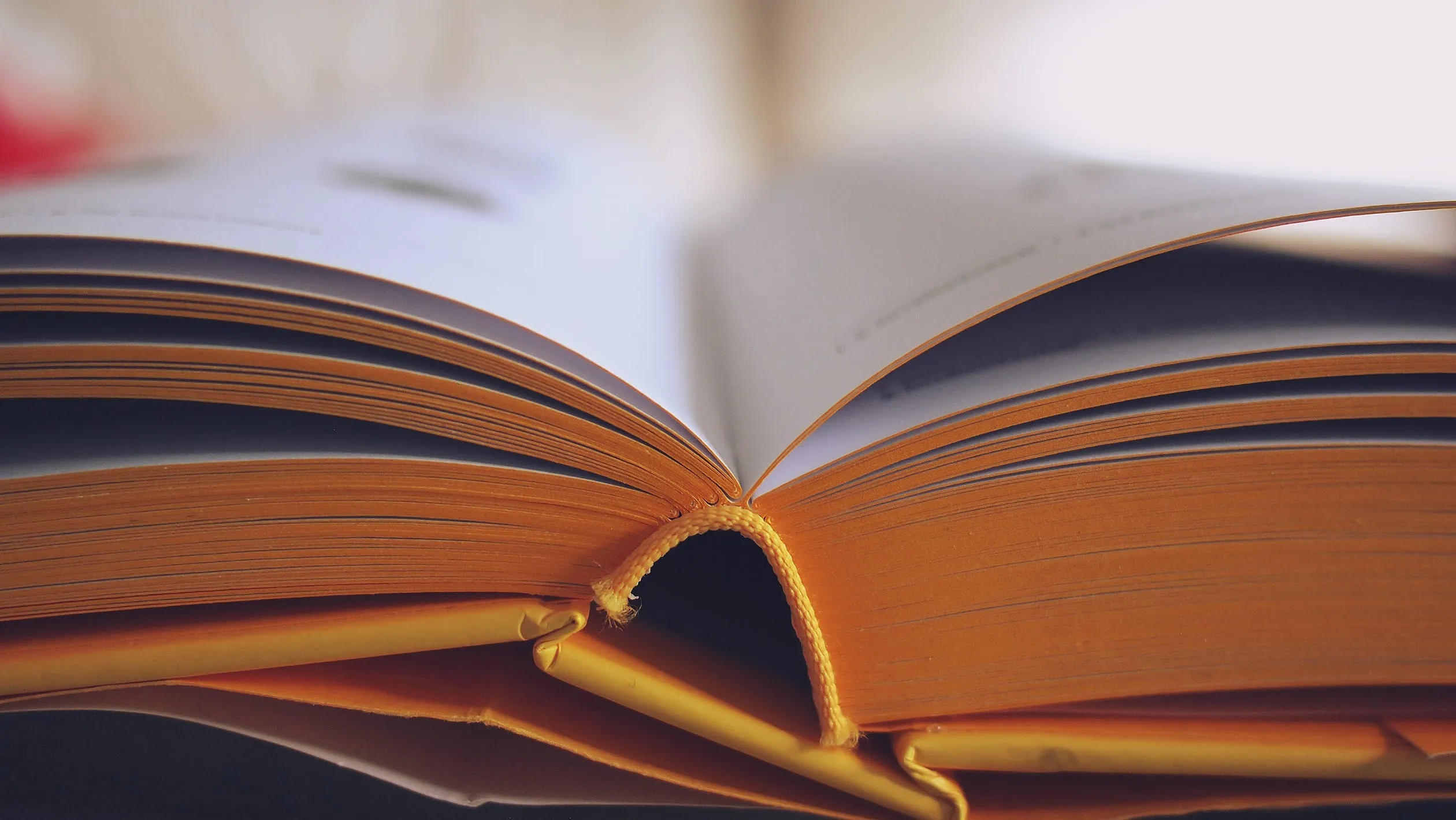 Лоеўскія бібліятэкары імкнуцца зацікавіць чытачоў, прапаноўваюць новае, неардынарнае
