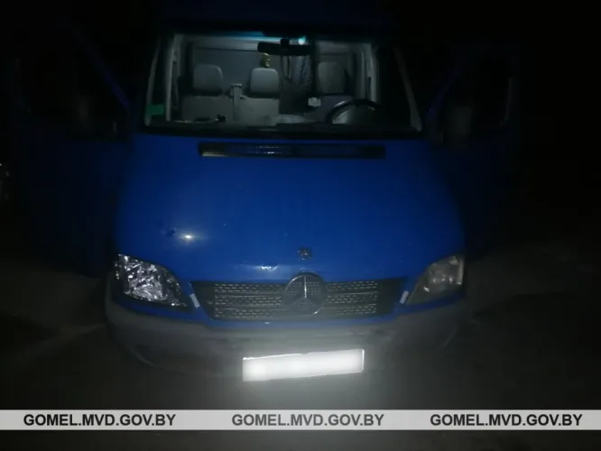 В Жлобинском районе 7-летний мальчик спрыгнул с автомобиля и получил травму головы. Он в реанимации