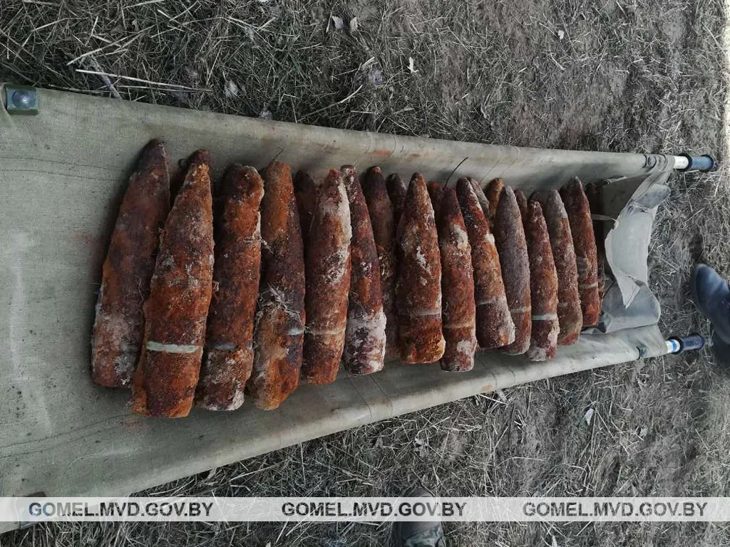 В Жлобинском районе обнаружен и утилизирован артиллерийский арсенал времен Великой Отечественной войны
