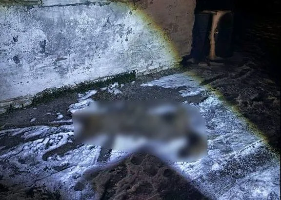 В Хойникском районе милиционеры спасли мужчину, на которого напал волк