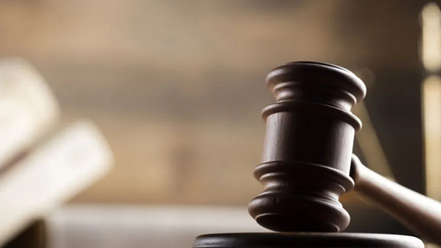 В Речице мошенницу со стажем приговорили к двум годам лишения свободы