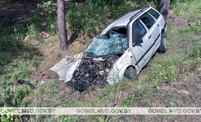 Нетрезвый бесправник врезался в дерево – два пассажира получили тяжкие повреждения. Прокуратура Брагинского района поддержала гособвинение в суде