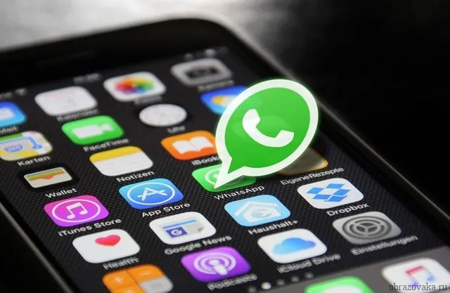 Темная тема для ПК, анимированные стикеры: вышло большое обновление WhatsApp