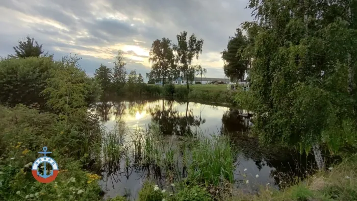 В Речицком районе мужчина утонул в искусственном водоеме