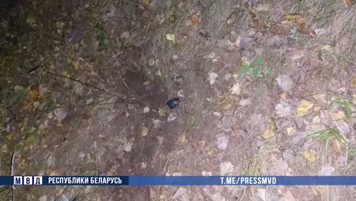 За торговлю психотропами в Гомеле задержан лицеист