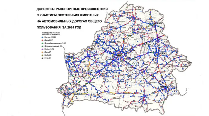 В Беларуси разработали карт-схему мест ДТП с участием охотничьих животных за 2024 год