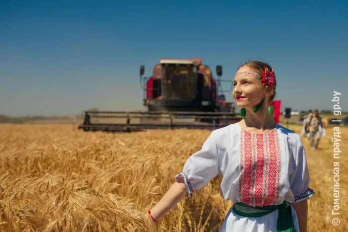 Битва за урожай: на Гомельщине стартовала жатва
