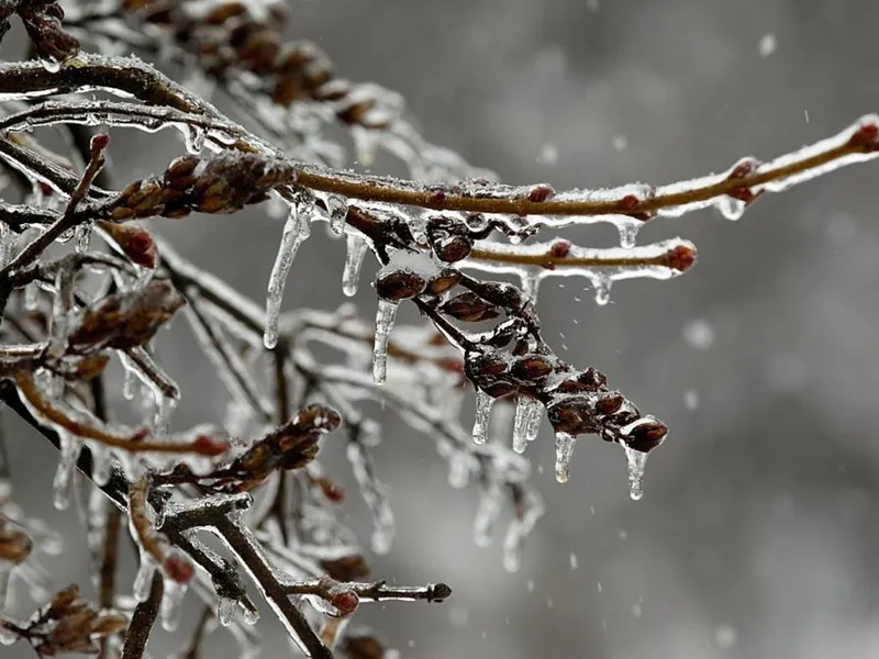 Облачно и до -3°C будет в Гомеле 16 декабря 