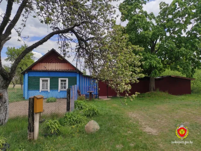 В Буда-Кошелевском районе из дома пенсионера украли портативную колонку