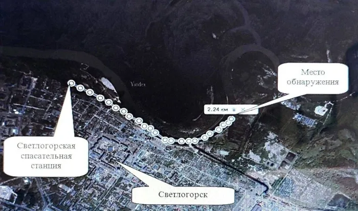 В Светлогорске на реке Березина найден тело мужчины
