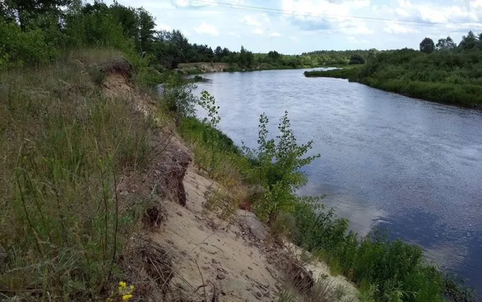 В Гомельском районе в реке утонул мужчина 