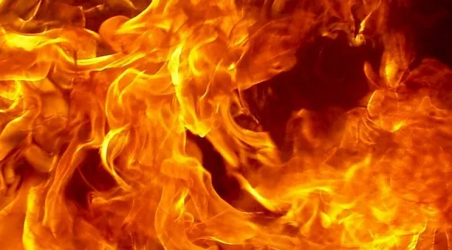 В Житковичском районе при пожаре в жилом доме погибла хозяйка