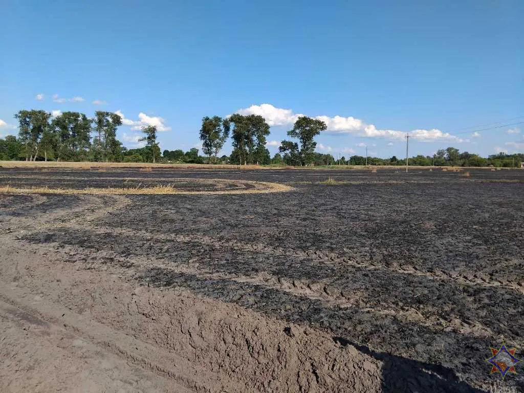 На пожаре в Брагинском районе работники МЧС спасли более 90 гектаров зерновых культур