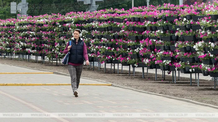 ФОТОФАКТ: Более 450 тыс. цветов на городские клумбы будет высажено нынешней весной в Гомеле