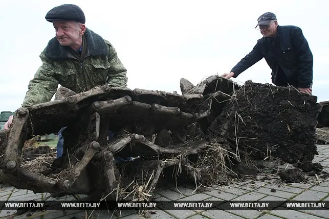 Фрагменты советского танка раскопали в Ветковском районе