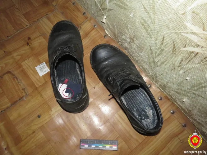 В Гомеле задержали вора-рецидивиста, который обокрал собутыльника