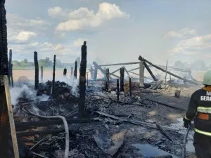Ребенок погиб в Лельчицком районе: мать вышла на улицу развесить белье и поздно заметила пожар