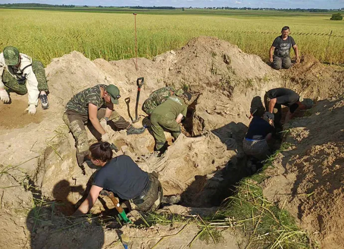 Вахта памяти: в Жлобинском районе из земли подняты останки 28 советских воинов