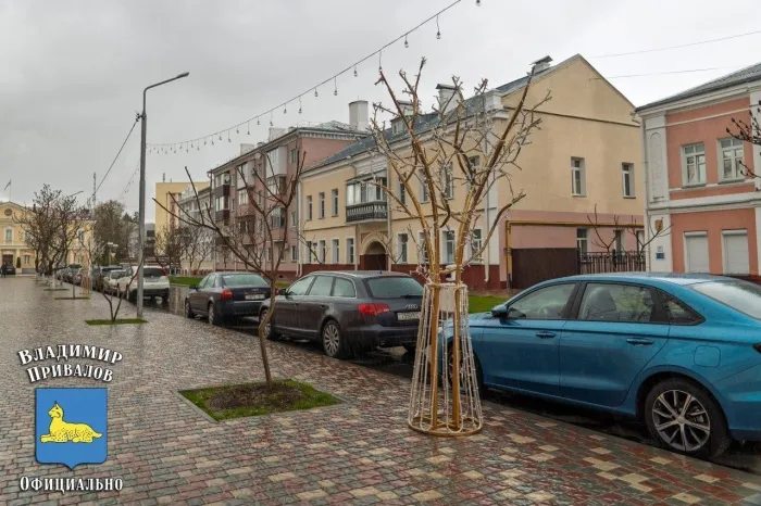 В Гомеле на улице Баумана установили светодиодные деревья