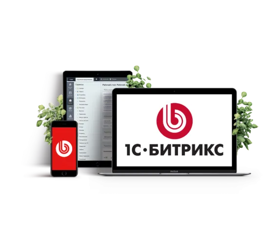 Разработка на CMS 1C Битрикс: ключевые аспекты