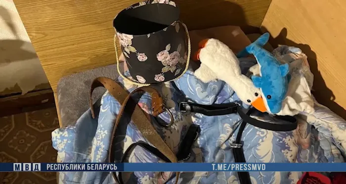 Гомельчанка задержана за распространение порнографии