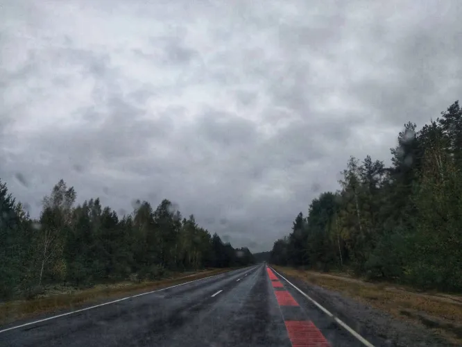 На въезде в Гомельскую область со стороны Бобруйска появилась музыкальная дорога