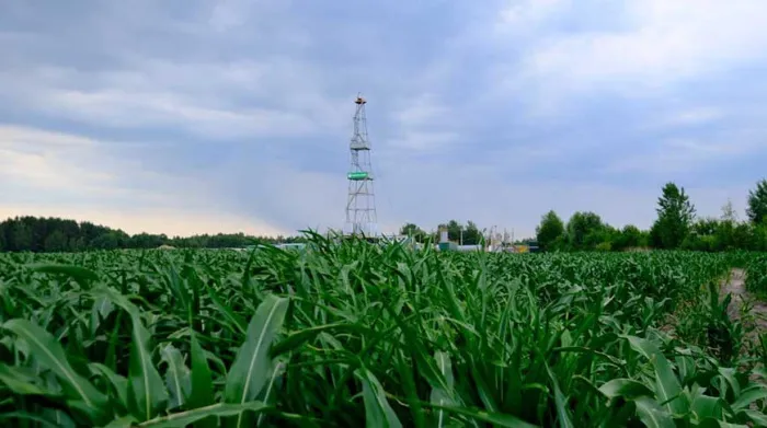 Девять новых скважин на месторождениях пополнили фонд "Белоруснефти" в июле
