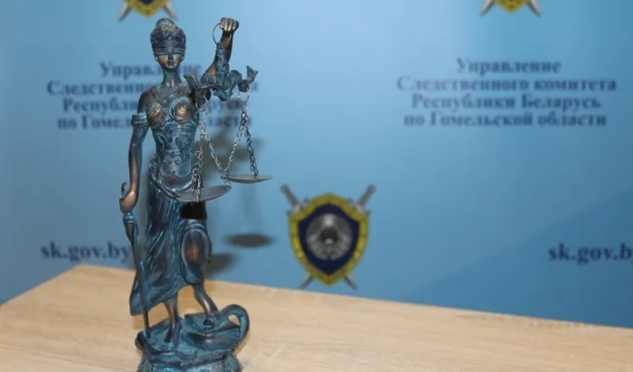 Двум гомельским таксистам, сбившим пешеходов, предъявлены обвинения