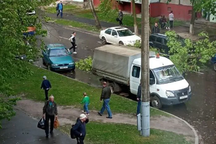 В Гомеле из-за сильного ветра дерево упало на проезжую часть. Движение транспорта затруднено