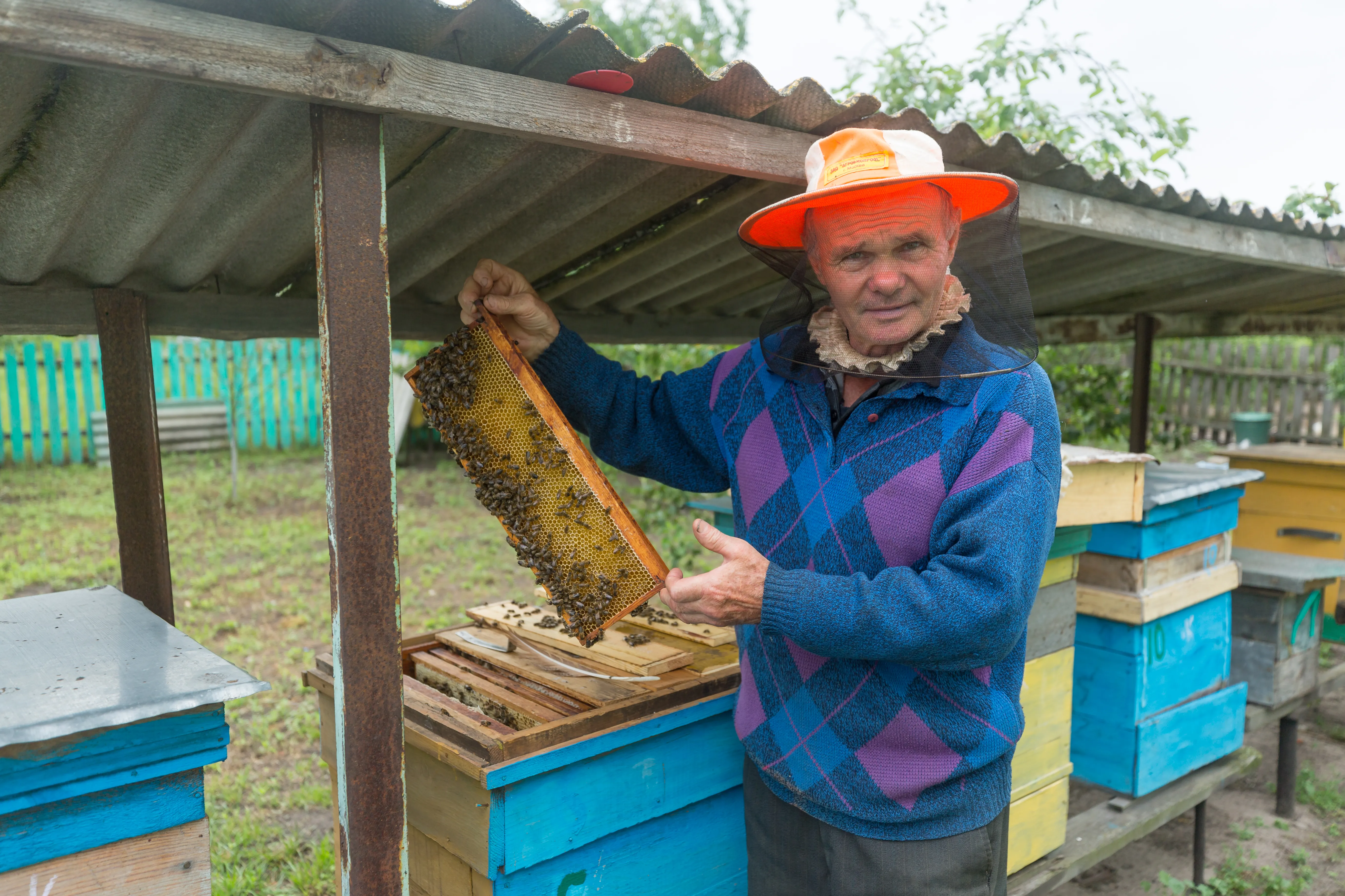 Кто такие самозанятые и положена ли им пенсия