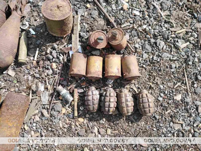 Арсенал боеприпасов и взрывчатых веществ изъяли в Рогачёвском районе