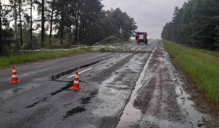 Последствия непогоды в Гомельской области