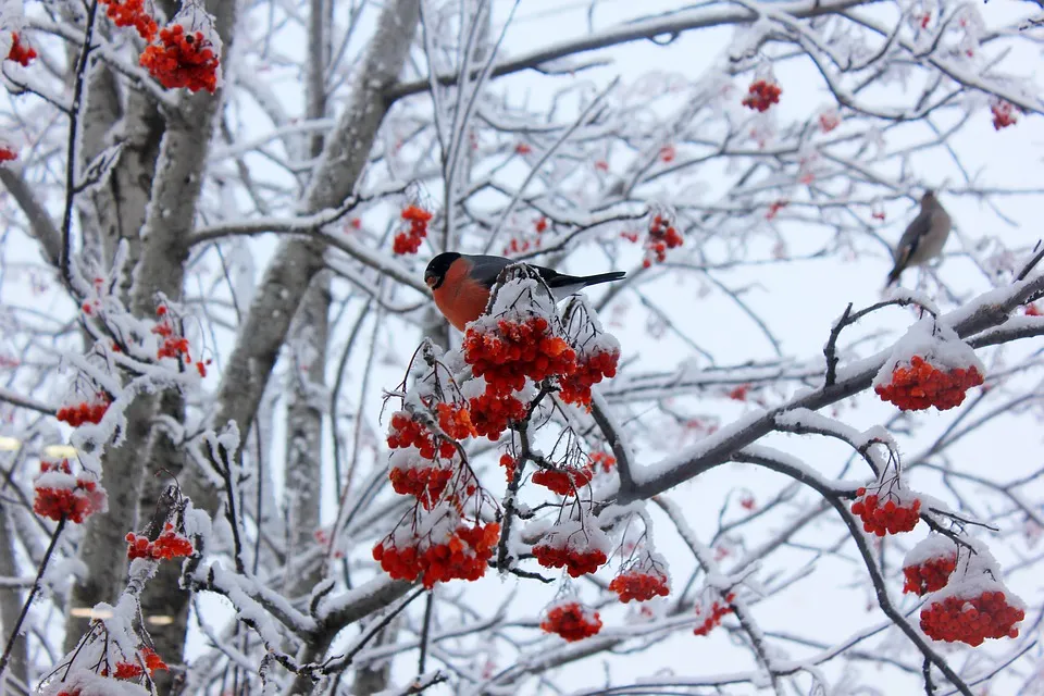 Туман, гололедица и до +8°C ожидается в Гомеле 25 февраля