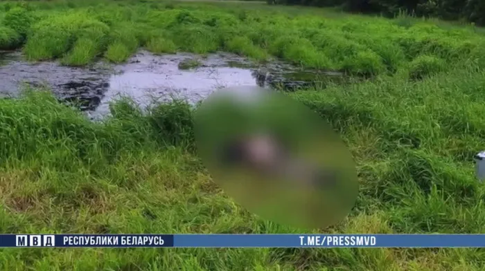 В Гомельском районе по горячим следам раскрыто убийство 